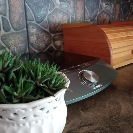 Çiftlik konaklama Pod Barania Gora Kamesznica