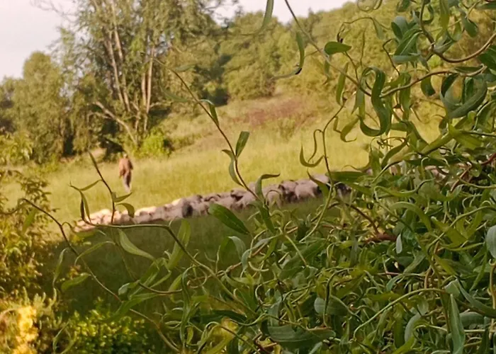 Pod Barania Gora 农家乐