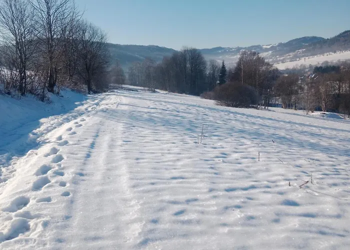 Pod Barania Gora 农家乐 Kamesznica