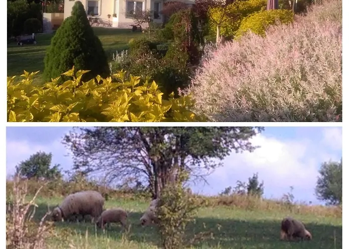 Pod Barania Gora Kamesznica